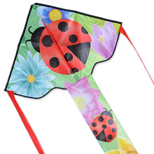 Load image into Gallery viewer, 30 inch wide Easy Flyer Kites