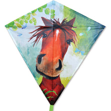 Load image into Gallery viewer, 30 INCH WIDE Diamond Kite