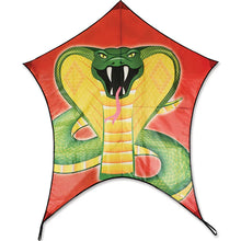 Load image into Gallery viewer, 40 Inch Penta Kites