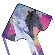 Load image into Gallery viewer, 30 inch wide Easy Flyer Kites