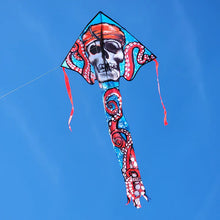 Load image into Gallery viewer, 46 inch wide Easy Flyer Kites