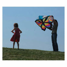 Load image into Gallery viewer, 52 Inch Wide butterfly kites
