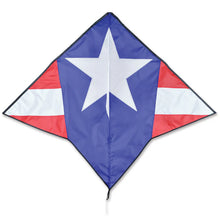 Load image into Gallery viewer, 58 inch wide Gyro Delta Kites