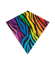 Load image into Gallery viewer, 31 Inch Wide WindNSun WindDiamond Stripe Nylon Kite