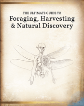 Load image into Gallery viewer, Foraging, Harvesting & Natural Discovery Hardcover (5E)