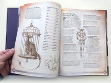 Load image into Gallery viewer, Remarkable Shops & Their Wares (Hardcover)