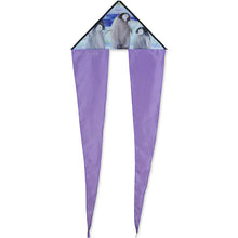 Load image into Gallery viewer, 24.5 Inch Flo Tail Delta kites