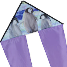 Load image into Gallery viewer, 24.5 Inch Flo Tail Delta kites