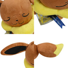 Load image into Gallery viewer, Pokemon Soft Plush Toy, Eevee Charmander Chikorita Peluche Doll