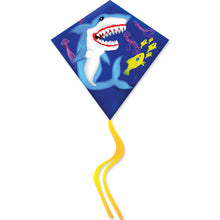 Load image into Gallery viewer, 25 Inch Diamond kites