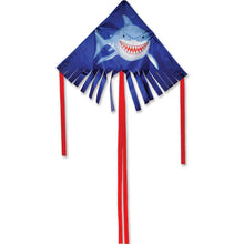 Load image into Gallery viewer, 28 inch wide Fringe Delta Kites