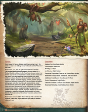 Load image into Gallery viewer, Ultimate Bestiary: Secrets of the Fey Hardcover (5E)