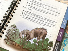 Load image into Gallery viewer, Wondrous Expeditions Forests - Pocket Guide (Hardcover)