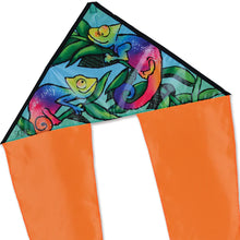 Load image into Gallery viewer, 24.5 Inch Flo Tail Delta kites
