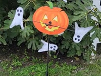 Load and play video in Gallery viewer, 10 INCH PUMPKIN SPINNER