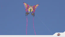 Load and play video in Gallery viewer, 54 Inch Wide SuperSize 2-D Butterfly Ripstop Nylon Butterfly Kite