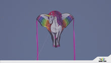 Load and play video in Gallery viewer, 62 Inch Wingspan SuperSize 2-D Unicorn Ripstop Nylon Unicorn Kite,