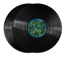 Load image into Gallery viewer, Ori and the Blind Forest Vinyl Soundtrack
