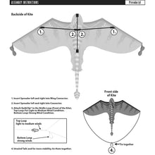 Load image into Gallery viewer, Fantasy 70 inch Wingspan Nylon Pterodactyl