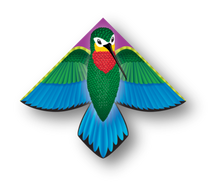 Load image into Gallery viewer, WindNSun Delta XT HummingBird Nylon Kite, 54 Inches Wide