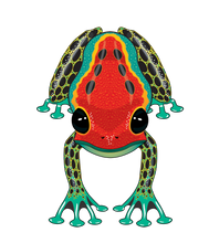 Load image into Gallery viewer, RainForest Dart Frog