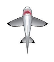 Load image into Gallery viewer, SeaLife 60 inch tall Nylon Shark Kite