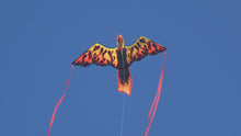 Load and play video in Gallery viewer, 74 inch (6 foot) Wingspan 3-D Nylon Firebird Phoenix Kite