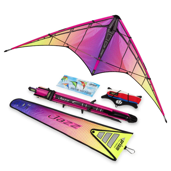 Dual Control Stunt Kite: Complete Beginner Guide