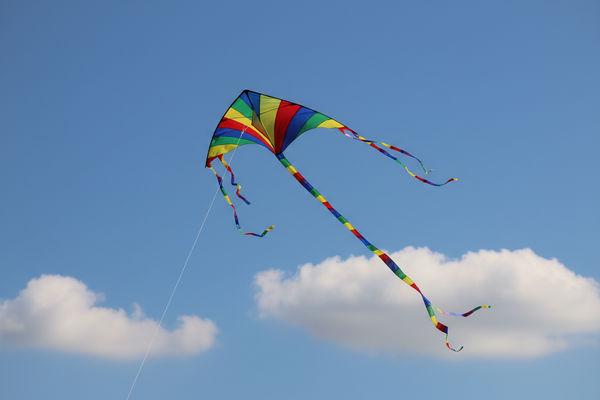 Single Line Kites: The Ultimate Guide to Easy Flying