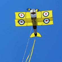 Load image into Gallery viewer, 65 Inch 3-D Bi-Plane Kites
