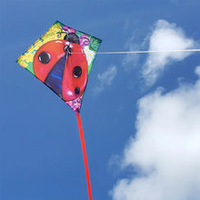 Load image into Gallery viewer, 25 Inch Diamond kites
