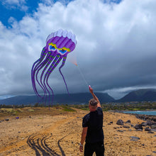 Load image into Gallery viewer, Giant 26&#39; Octopus Airfoil Nylon 3-D Kite
