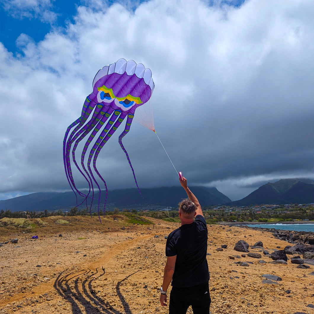 Giant 26' Octopus Airfoil Nylon 3-D Kite