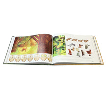 Load image into Gallery viewer, Designing The Secret of Kells Art Book
