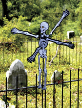 Load image into Gallery viewer, Vidoe of  cartoon-style skeleton yard decoration with outstretched arms stands on a black metal fence in a grassy outdoor setting with tombstones and trees in the background.
