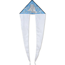 Load image into Gallery viewer, 24.5 Inch Coloring Flo Tail Delta kites
