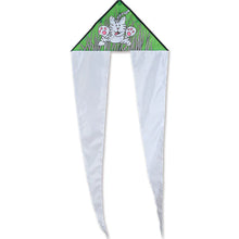 Load image into Gallery viewer, 24.5 Inch Coloring Flo Tail Delta kites
