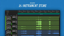 Load image into Gallery viewer, DELUXE AUDIO - The Christmas Story for Churches and Organizations
