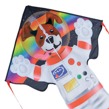 Load image into Gallery viewer, 46 inch wide 90 inch long Easy Flyer Kites
