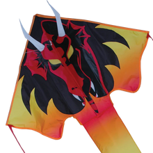 Load image into Gallery viewer, 46 inch wide Easy Flyer Kites (Fantasy)
