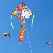 Load image into Gallery viewer, 46 inch wide Easy Flyer Kites (Fantasy)
