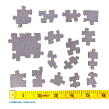 Load image into Gallery viewer, Abby&#39;s Dragon 1000 Piece Jigsaw Puzzle Cobble Hill
