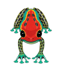 Load image into Gallery viewer, RainForest Dart Frog
