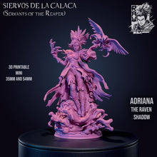 Load image into Gallery viewer, Adriana the Raven Shadow
