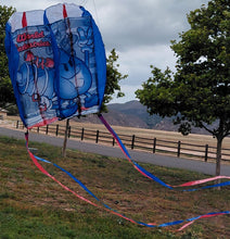 Load image into Gallery viewer, 24 INCH WET WILLIE FOIL KITE
