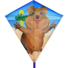 Load image into Gallery viewer, 30 INCH WIDE Diamond Kite
