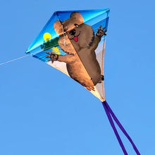 Load image into Gallery viewer, 30 INCH WIDE Diamond Kite
