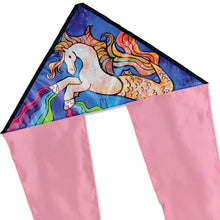 Load image into Gallery viewer, 24.5 Inch  Flo Tail Delta kites
