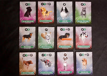Load image into Gallery viewer, Good Dog bad Zombies, Dog Playing cards
