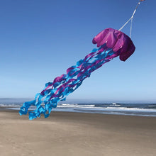 Load image into Gallery viewer, Surf City Kites Jellyfish 3D Windsock

